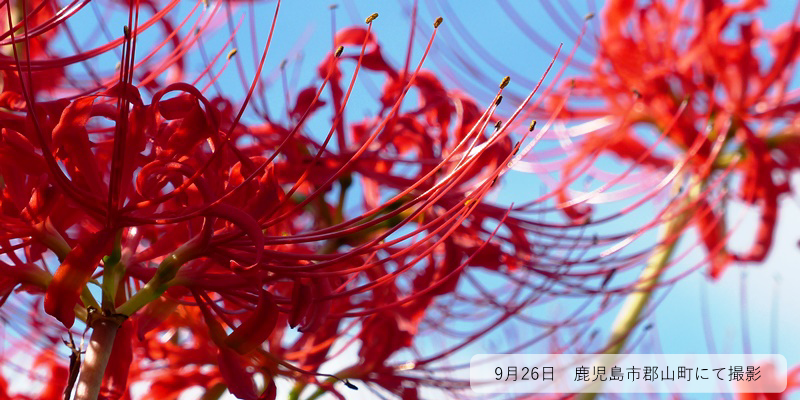 トップページスライドショー季節の写真